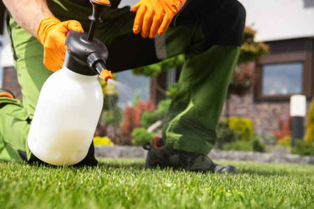 Trusted Eagan, MN Pest Control Experts