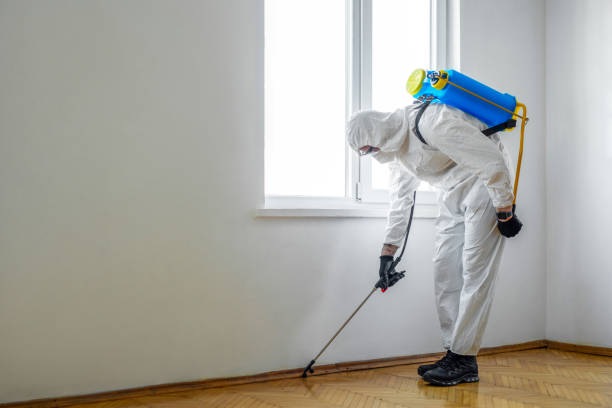 Best Pest Removal Services  in Eagan, MN