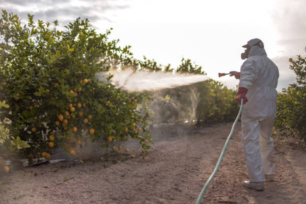 Best Commercial Pest Control Services  in Eagan, MN